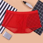 Men's Sexy Mesh Boxer Briefs Hollowed Out Breathable Underwear See Through Transparent Comfortable Lingerie Style Lightweight Trunks