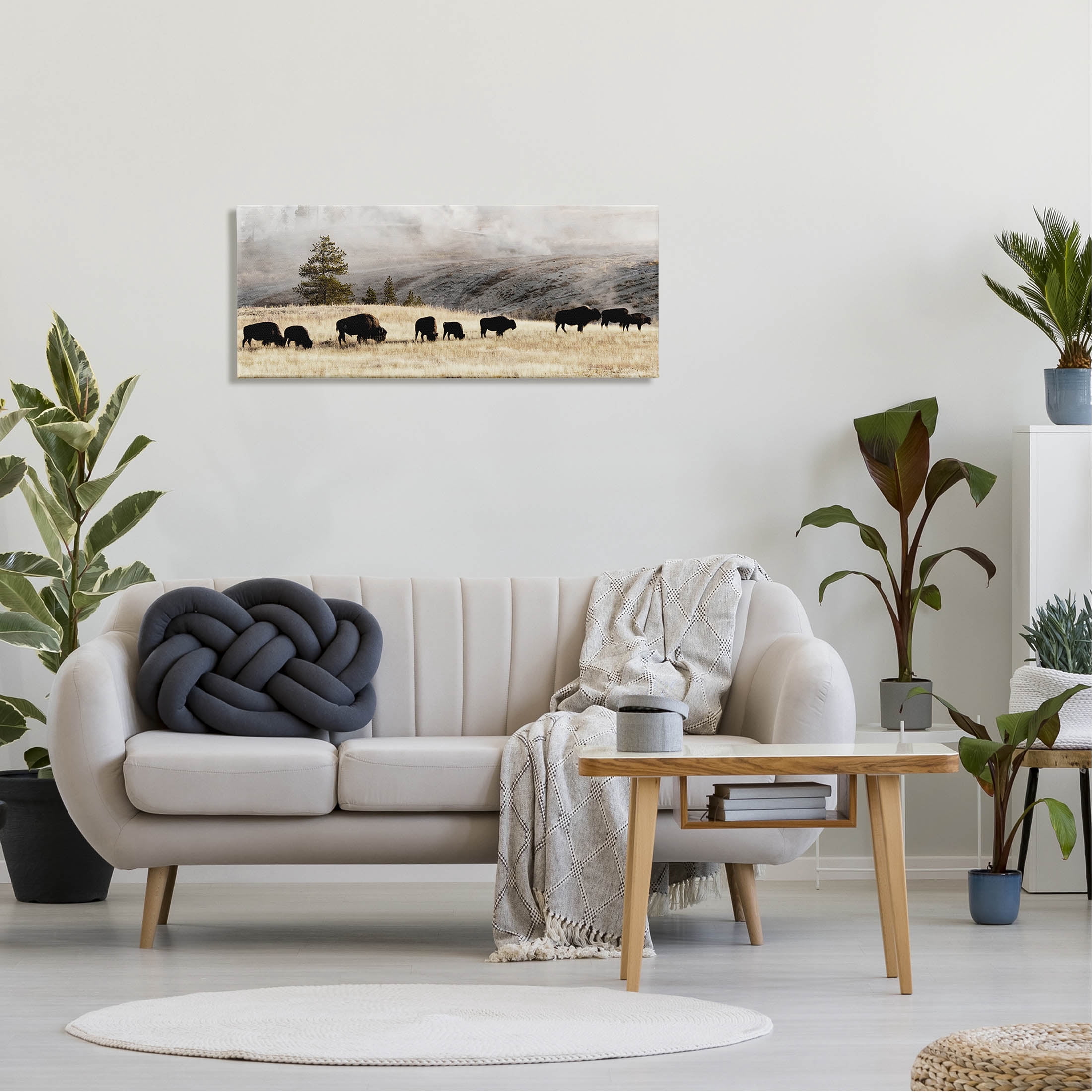 Grazing Bison Rural Country Fog Animals & Insects Photograph Gallery Wrapped Canvas Print Wall Art