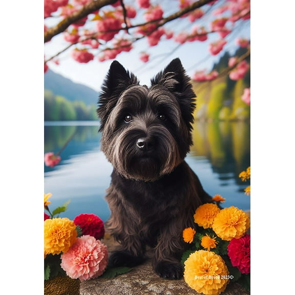 Cairn Terrier Black - Best of Breed DCR Spring Garden Flag