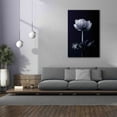 thumbnail image 4 of Epic Graffiti 'Single Flower' by Incado, Giclee Canvas Wall Art, 40"x60", 4 of 8