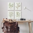 thumbnail image 2 of Stupell Industries Soft Farmhouse Botanicals Charming Wild Foliage Plant Illustration, 16 x 20, Design by Annie Warren, 2 of 6