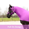 thumbnail image 3 of Resistance Horse Hood Pull-On with Face & Forelock Saver, Lycra Material, All Season, Small - Xlarge sizes, 3 of 7
