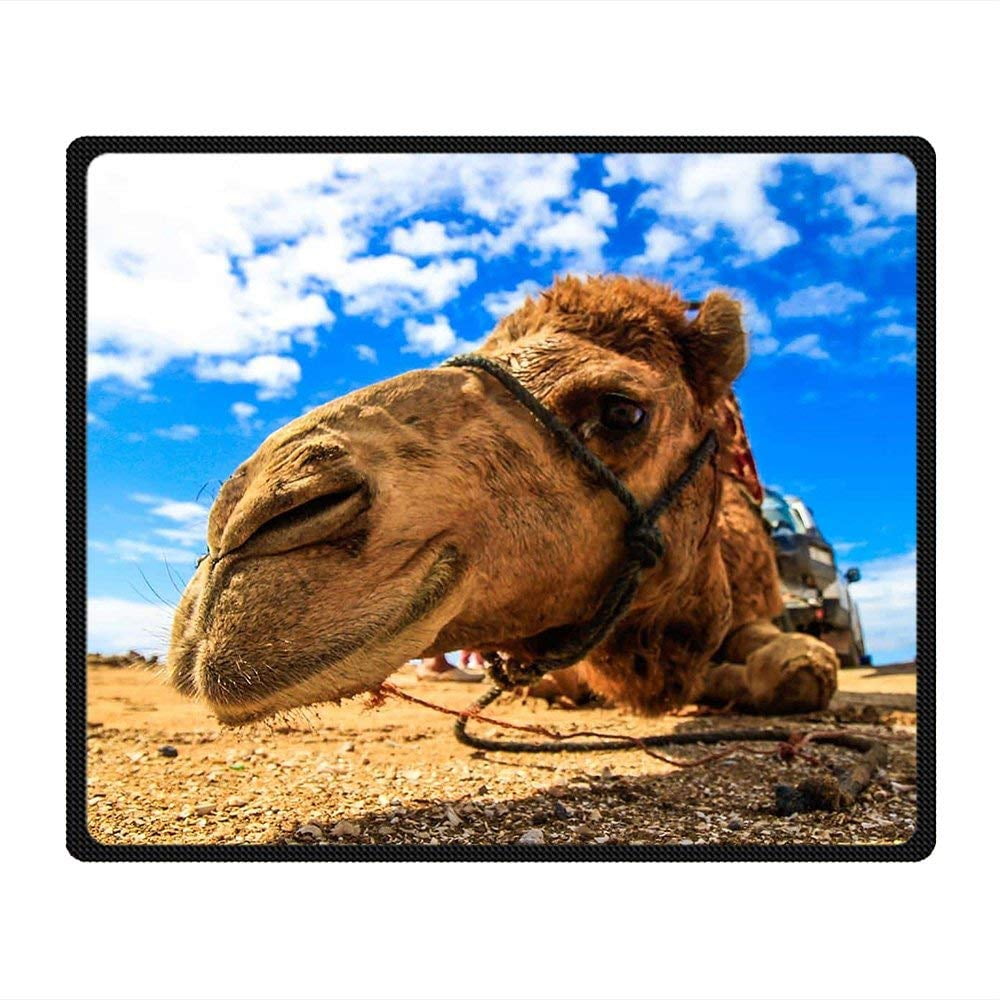 CADecor Camel Blanket Fleece Throw Blanket for Sofa or Bed 58x80 inches
