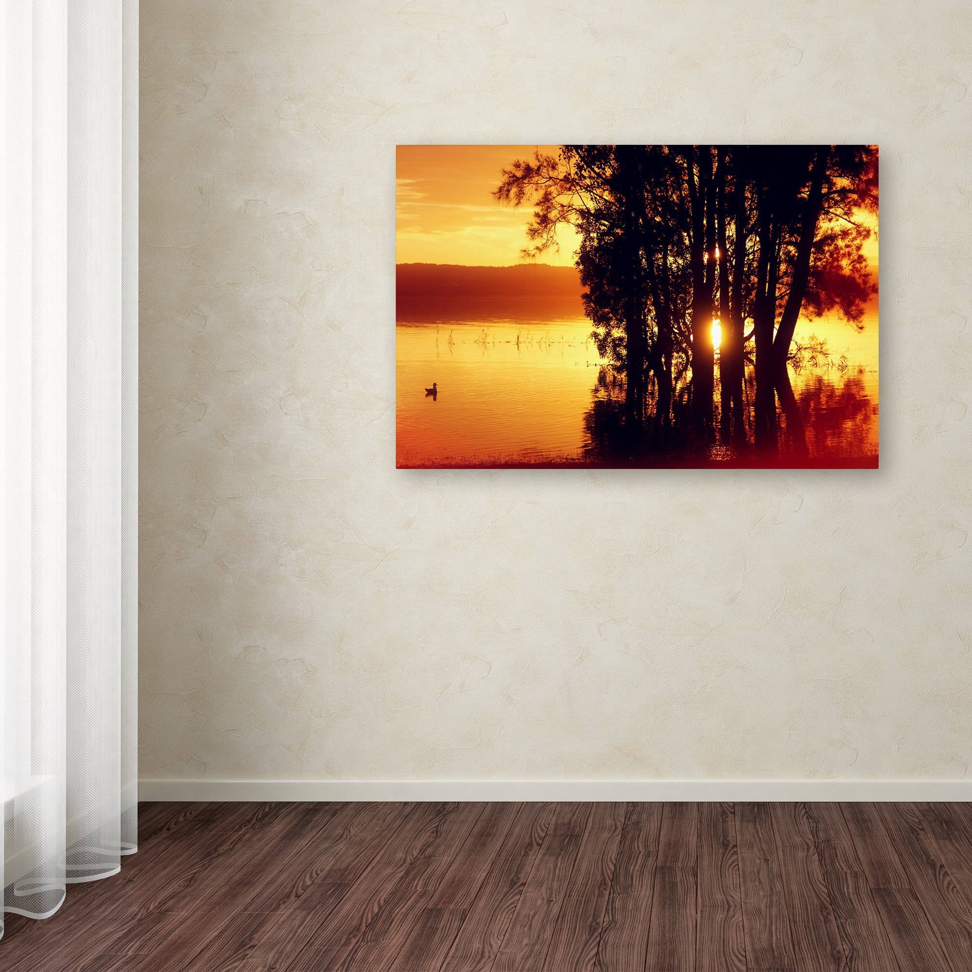 Trademark Fine Art "Lonely at Sunset" Canvas Art by Beata Czyzowska Young