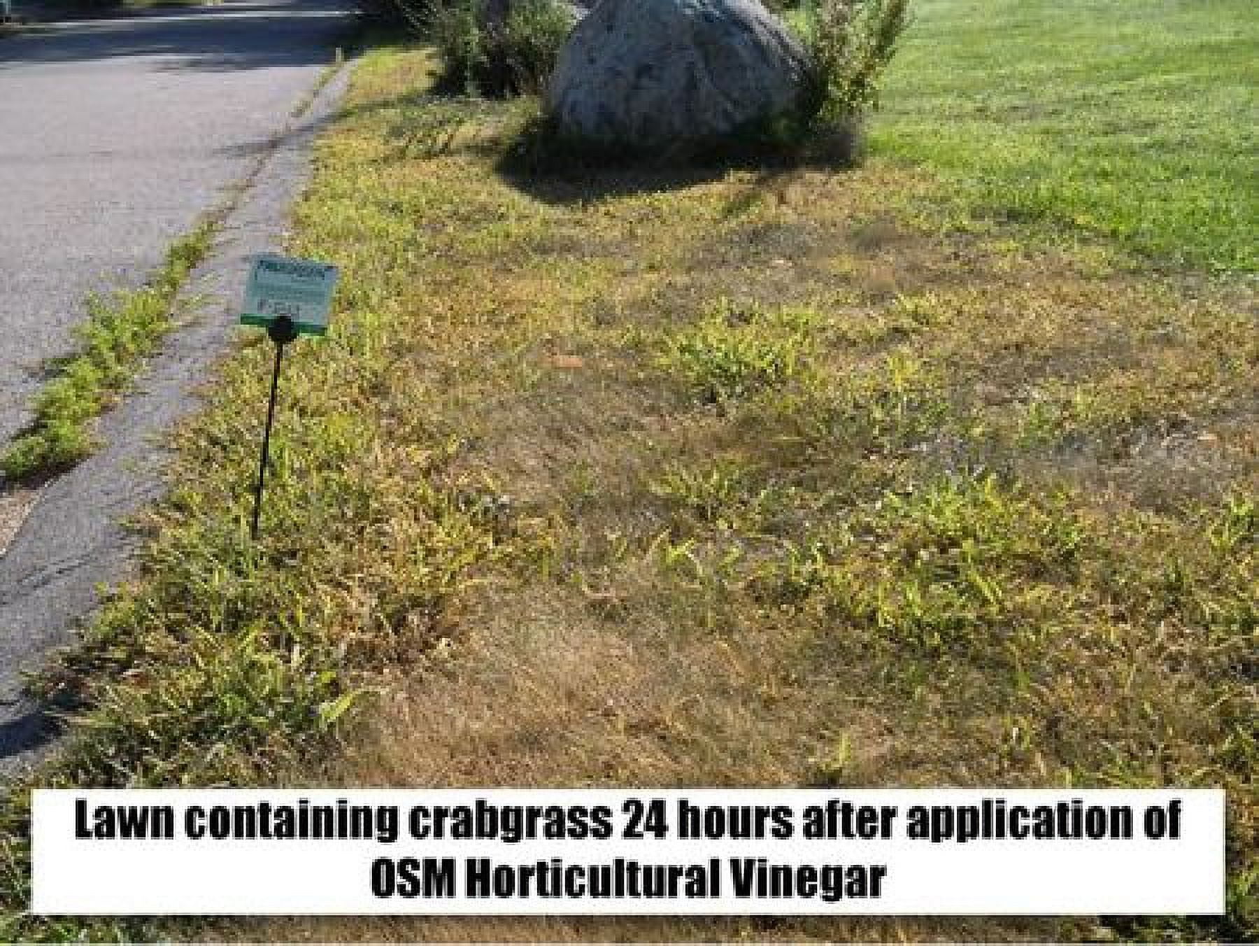 OSM Horticultural Vinegar,1 Gal. 81008201618-5
