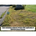 thumbnail image 3 of OSM Horticultural Vinegar,1 Gal. 81008201618-5, 3 of 7