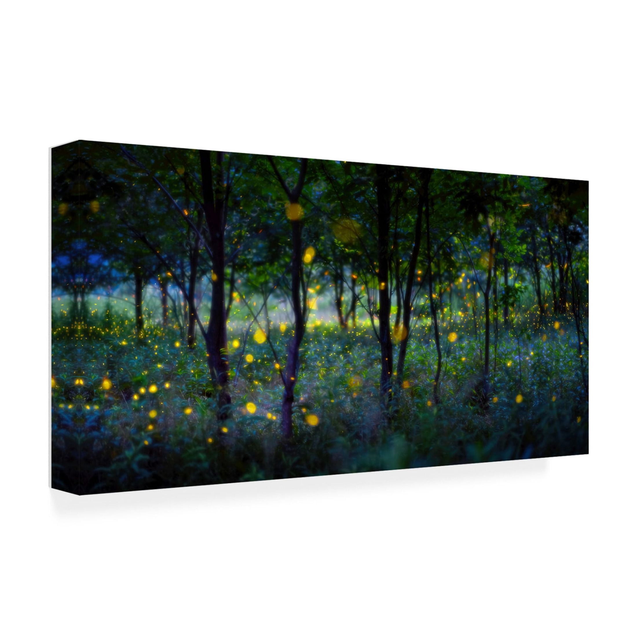 Canvas Wall Art - Hua Zhu 'Magic Fireflies' Wall Art for Living Room, Bedroom, or Office D?cor by Trademark Fine Art - 24 x 12 Inches