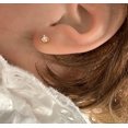 thumbnail image 2 of 18K Solid Yellow Gold 0.10 ct twt Diamond Stud Covered Screwback Earrings, 2 of 5