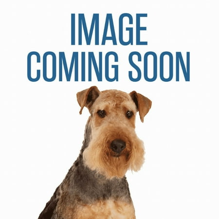 UPC: 0721343708407 | Master Grooming Tools Aluminum Finishing Comb 10 In