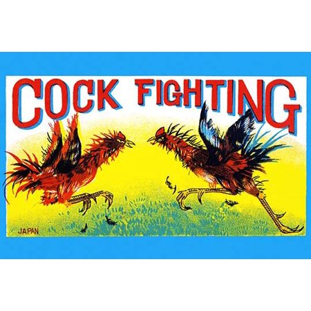 UPC 616874319782 product image for Cock Fighting- Fine Art Canvas Print (20