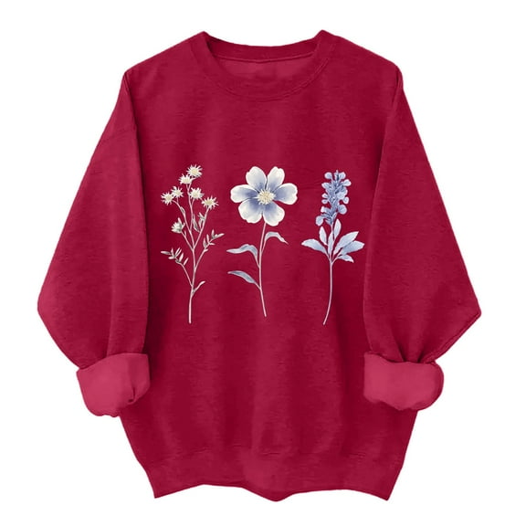 SHE IS 4x Sweatshirts for Women Plus Size Hoodies for Women Trendy Graphic Womens Fall Hoodies Pullover Plus Size Tops for Women Dressy My Orders Placed