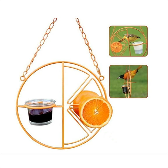 NOGIS Hanging Feeder Hummingbird Toy for Hens Pet Chicken Veggies Skewer Fruit Holder for Bird Hummingbird
