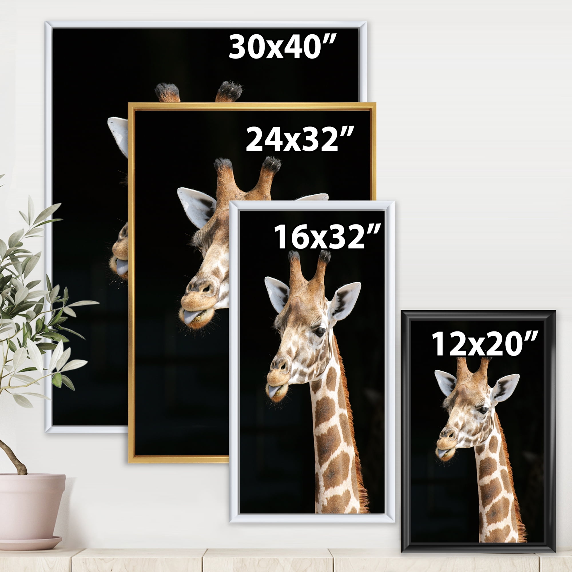 Designart 'Close Up Portrait Of A Giraffe On Black III' Farmhouse Framed Canvas Wall Art Print