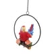 thumbnail image 1 of Estatua de loro colgante de jardín, anillo de hierro colgante Loros Anillo de hierro colgante Loros Anillo de hierro Artesanía de loros pequeños Artesanía excepcional, 1 of 9