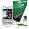 GreenOnionsSupply AG+ Anti-Glare Screen Protector for BlackBerry Q10, 2-Pack
