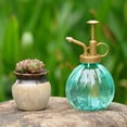 thumbnail image 3 of SPRING PARK Watering Spray Bottle, Tall Vintage Style Spritzer Bronze Plastic Top Pump One Hand Watering Can Glass Spary Bottle Plant Mister Glass Watering Can Indoor, 3 of 7