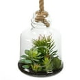 thumbnail image 4 of Vickerman 10" Artificial Green Assorted Succulents in Glass Jar., 4 of 6