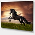 thumbnail image 2 of Cheval Frison Noir Galop - Impression d'Art Abstrait sur Toile, 2 of 3