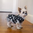 thumbnail image 4 of Vibrant Life Halloween Dog Clothes, Bat Print Hoodie, for Dogs or Cats, Size Extra Small, 4 of 5