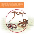 thumbnail image 6 of Zilla Snake Premium Terrarium Kit, 6 of 7