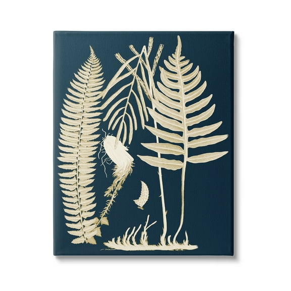 Stupell Industries Layered Ferns Botanical Roots Contemporary Abstract Design Graphic Art Gallery Wrapped Canvas Print Wall Art, Design by Piddix