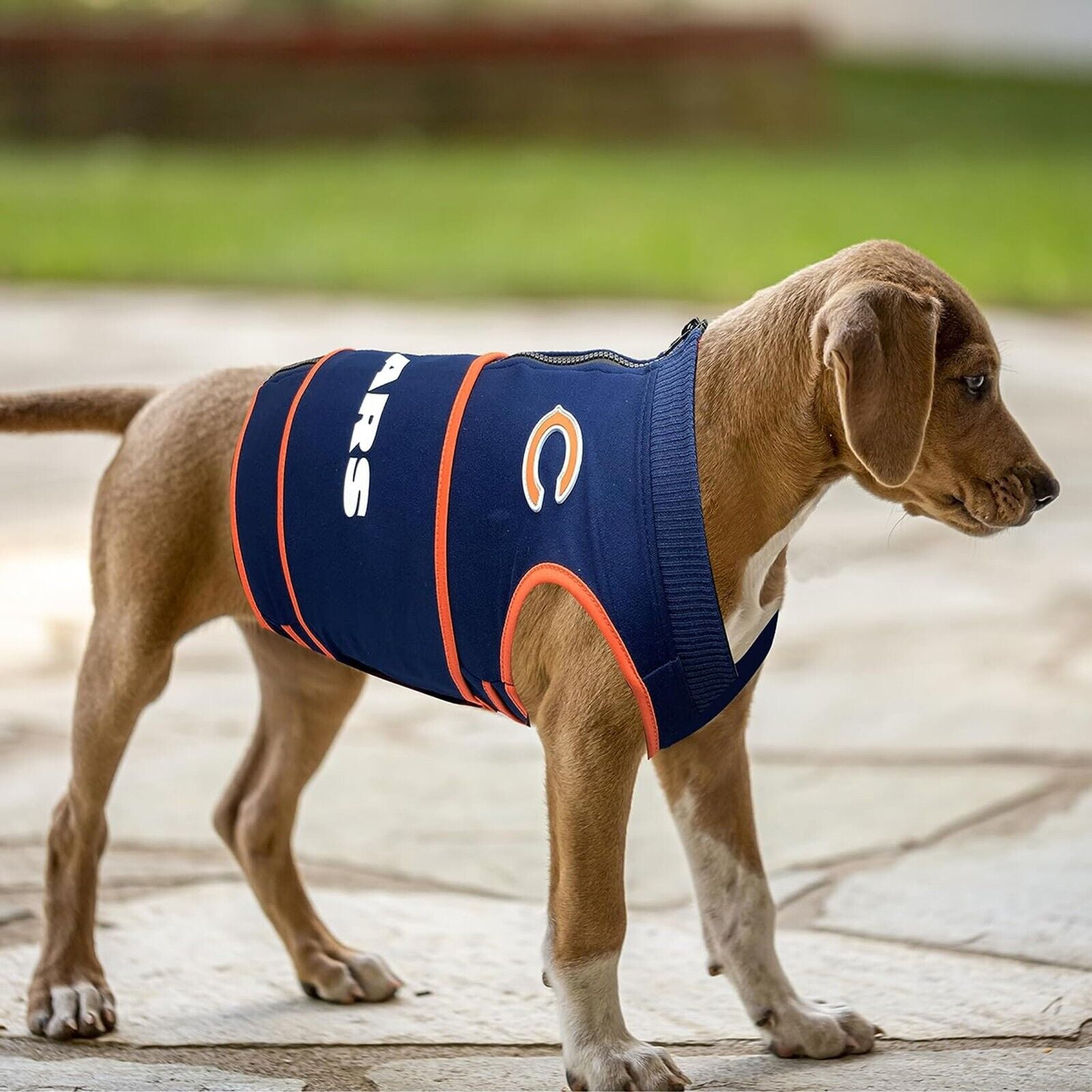 Pets First NFL Chicago Bears Dog Anxiety Calming Shirt Soothing Solution Vest, Dogs & Cats Keeps Dogs Calm & Feeling Safe, Relaxing Jacket, Xsmall