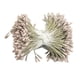 thumbnail image 1 of Paquete de 1,5 x 2 mm de estambres de flores de doble cabeza, pistilo mate para decoración de bodas. gris, 1 of 9