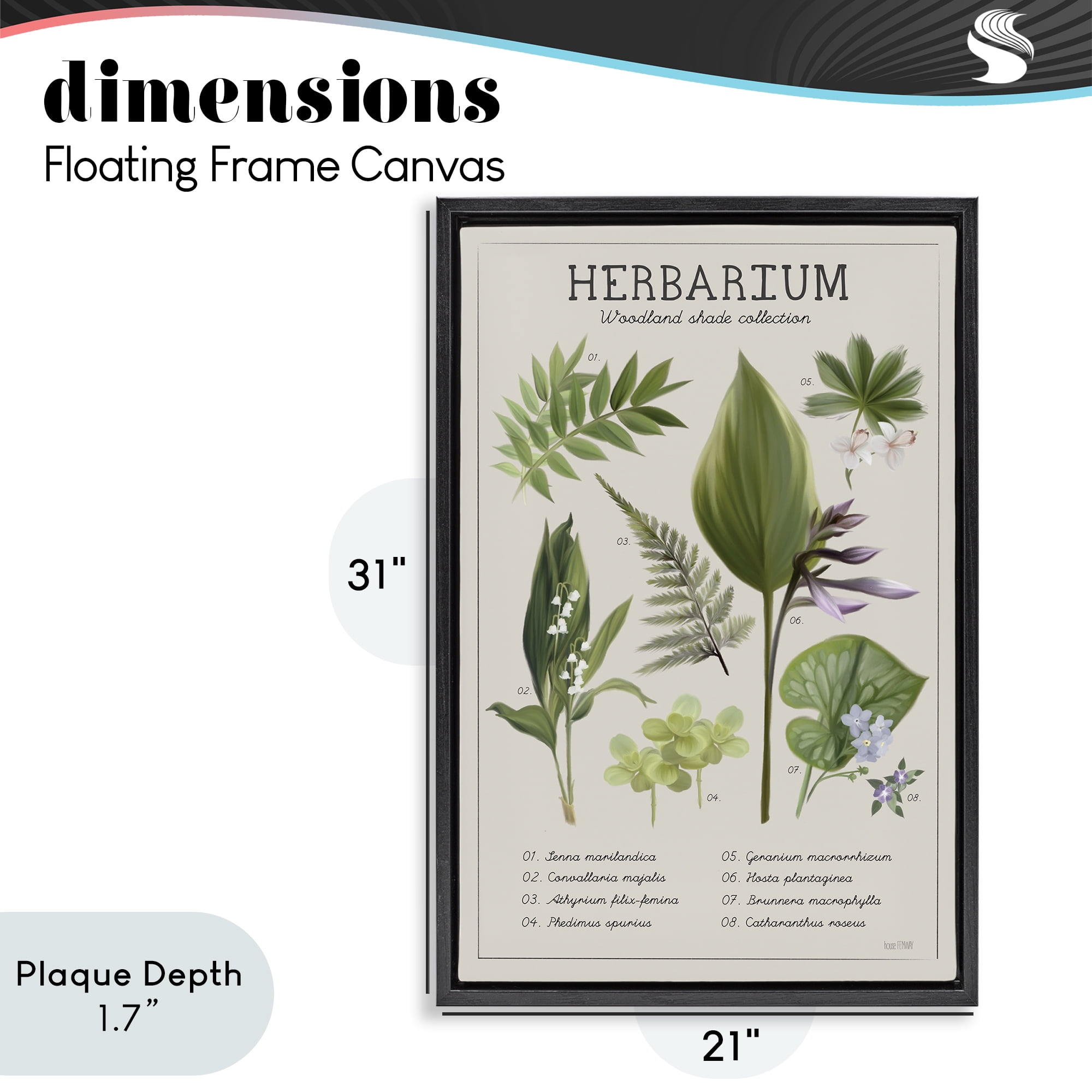 Stupell Industries Herbarium Woodland Shade Collection Black Framed Floater Canvas Wall Art, design by House Fenway
