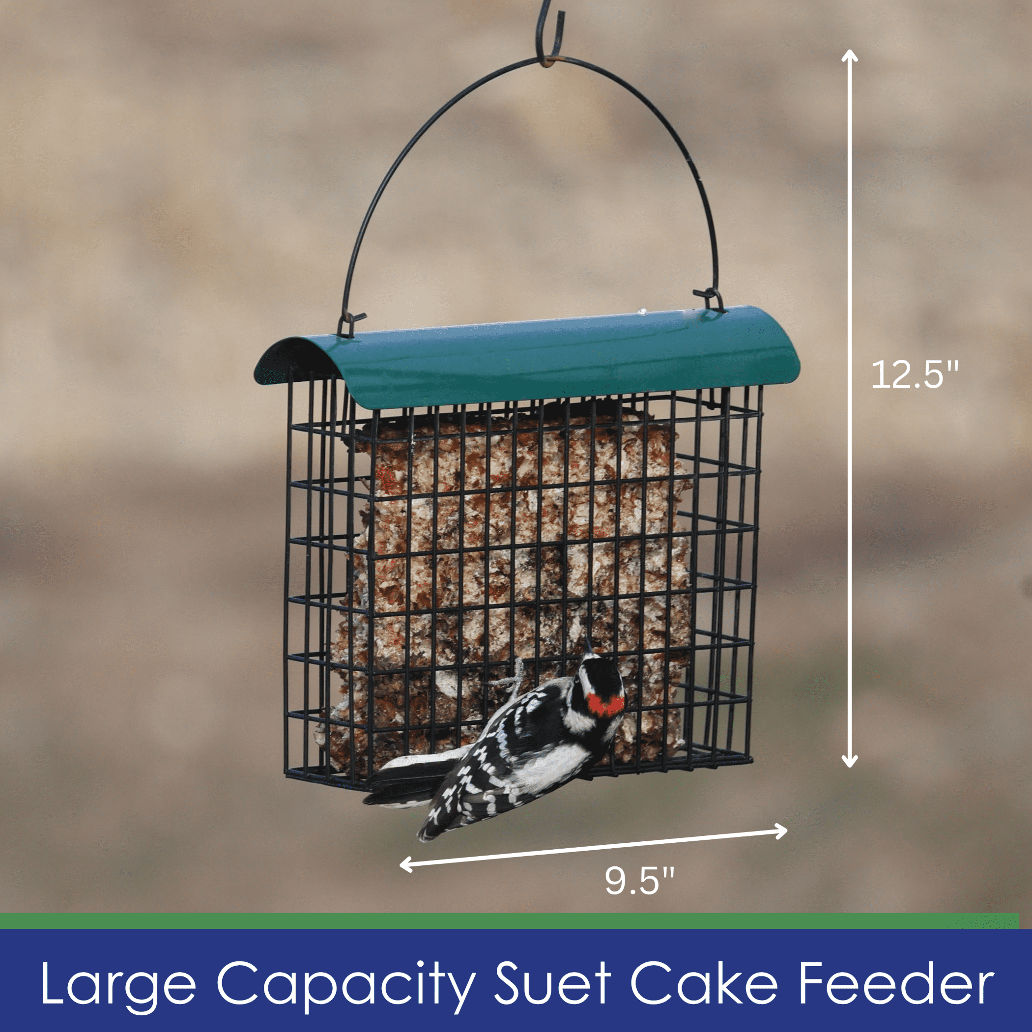 Backyard Essentials Large Suet Feeder Metal Bird Feeder Holds One Large Suet Cake