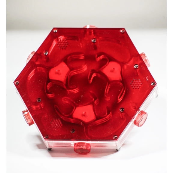 HexNest Branch - Clear Formicarium with Red Cover