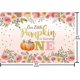 thumbnail image 5 of Little Pumpkin Girl 1st Birthday Party Backdrop Our Little Pumpkin Is Turning One Photogra, 5 of 5