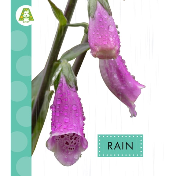 Rain, (Paperback)