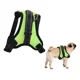 thumbnail image 1 of Pechera Arnes De Seguridad Para Perro,ajustable Y Comoda, 1 of 2