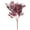 Wine Red, variant on 5 Forks Artificial Italian Ruscus Greenery Stems Faux Hanging Greenery Spray Best Filler Fake Plants for Wedding Bouquet Centerpieces Home Decorations