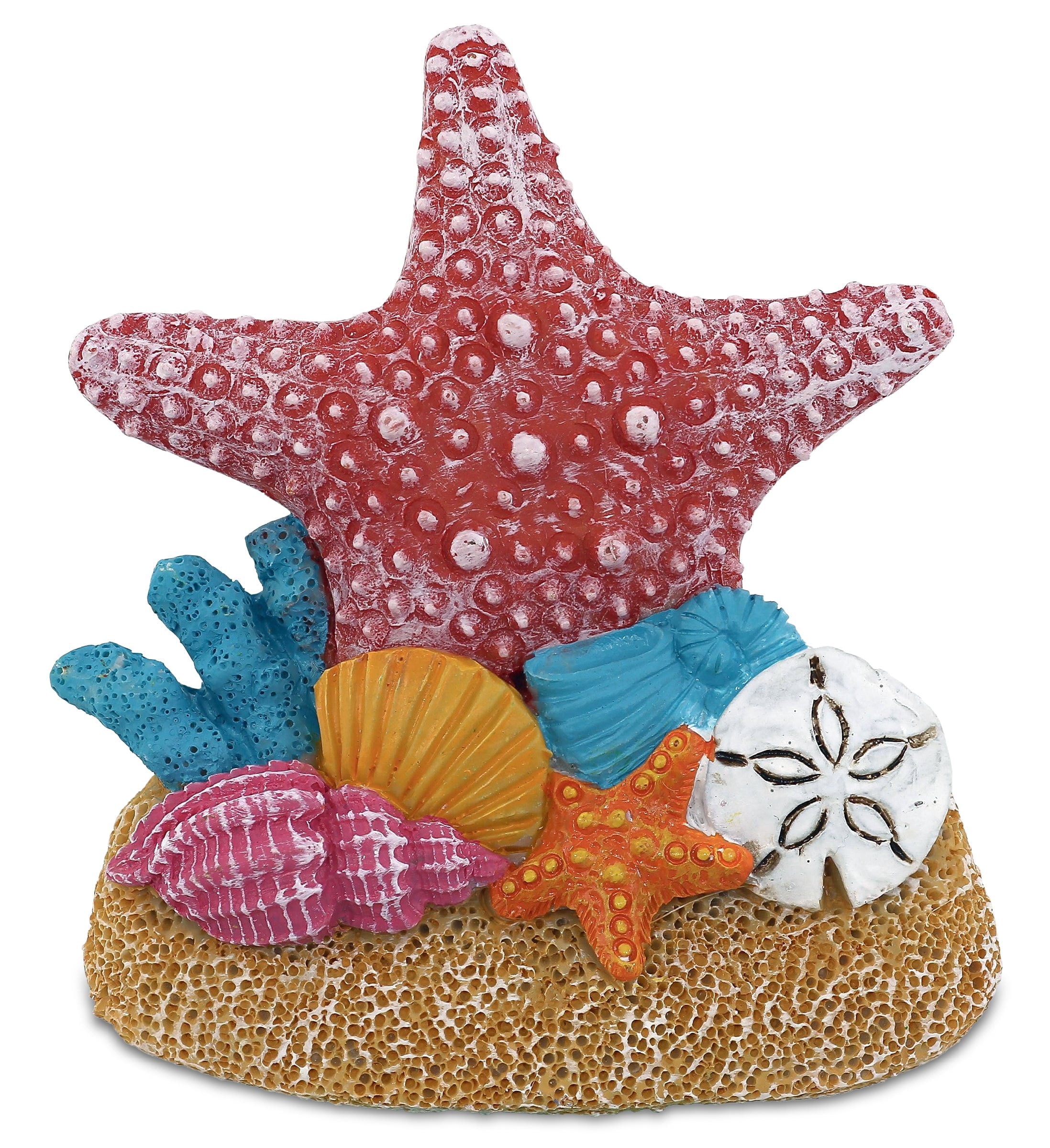 CoTa Global Reef Sea Turtle Refrigerator Bobble Magnets Set of 6 - Assorted Color