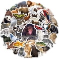 thumbnail image 1 of 50 Pegatinas de Animales del Bosque, Pegatinas de Animales con Foto para Niños de 2 a 12 Años, Resistentes al Agua, 1 of 5