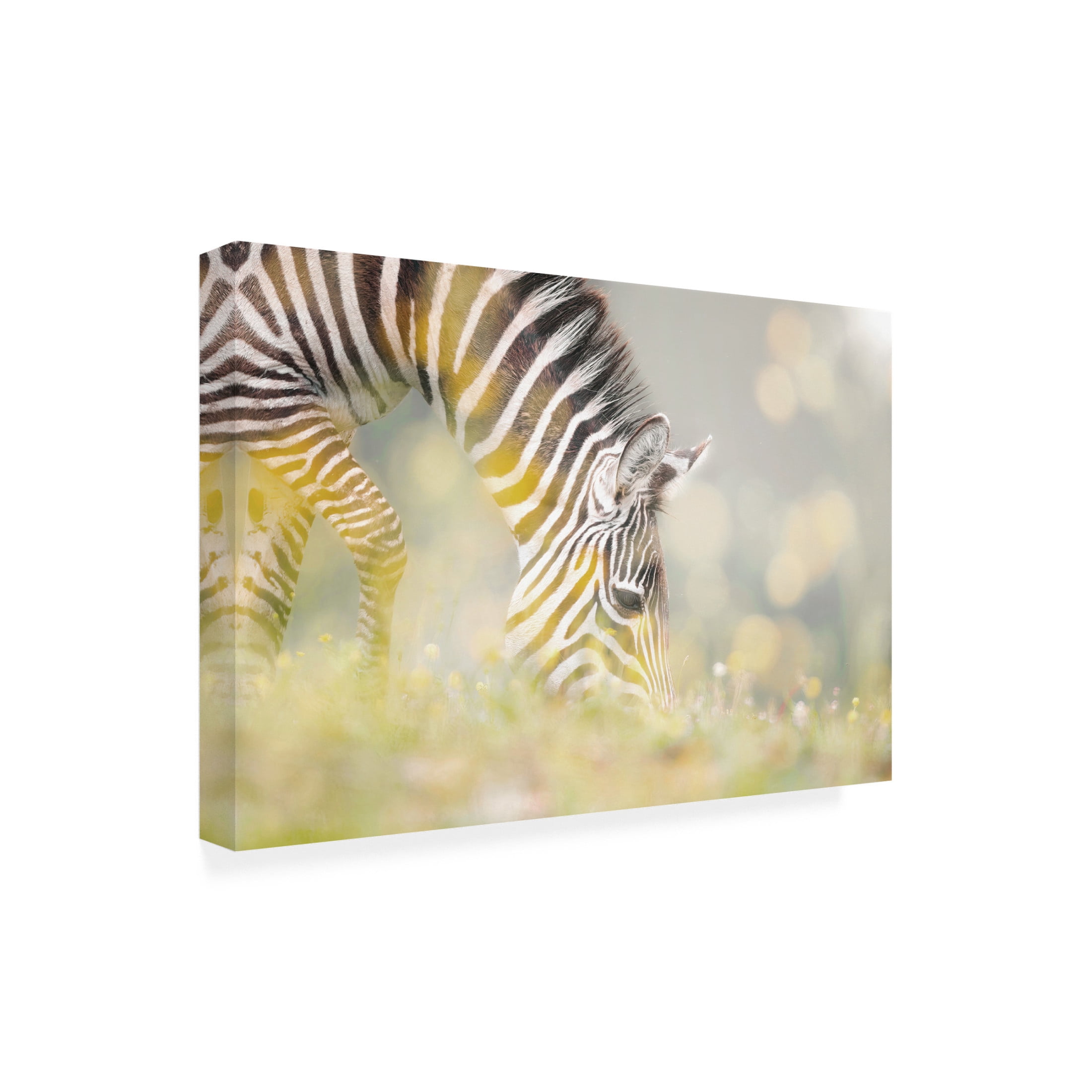 Trademark Fine Art Jesus Concepcion Alvarado BREAKFAST Canvas Wall Art