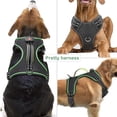 thumbnail image 2 of Chaleco de perro iluminado Vizbrite LED recargable para perros, 2 of 6