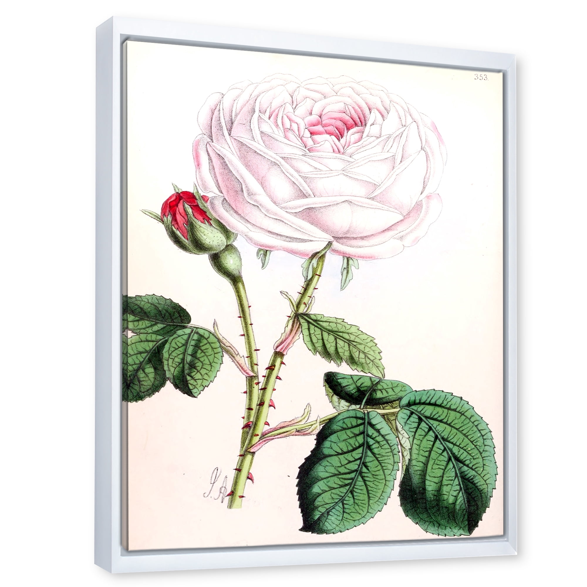 Ancient Pink Flower 30 in x 40 in Framed Painting Canvas Art Print, by Designart