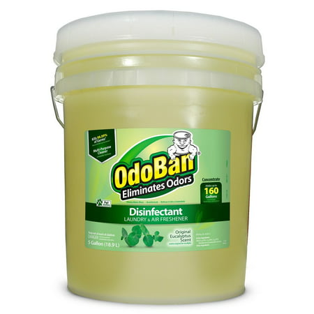 OdoBan Odor Eliminator & Disinfectant Concentrate, Original Eucalyptus Scent ( 5