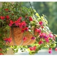 thumbnail image 7 of 6 Pcs Hanging Basket Coco Liners Replacement - Natural Round Coconut Fiber Planter Basket Liners for Hanging Basket Flowers, 7 of 7
