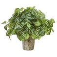 thumbnail image 1 of Nearly Natural 8574 Peperomia Artificial Plant in Weathered Oak Planter, 1 of 1