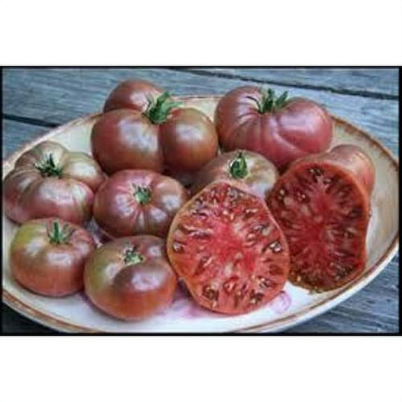 Tomato Cherokee Purple Great Garden Heirloom Vegetable By Seed Kingdom BULK 1,200 Seeds
