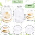 thumbnail image 2 of 1box 10Pcs Mini Dome Glass Jar 30x40mm Small Glass Dome with Bamboo Base Glass Cloche Dome Clear for Wedding Home Liquid Christmas Party Favor Decor Clear, 2 of 5