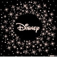 thumbnail image 5 of Disney Stainless Steel Crystal "Best Aunt' Flower Bead, 5 of 5