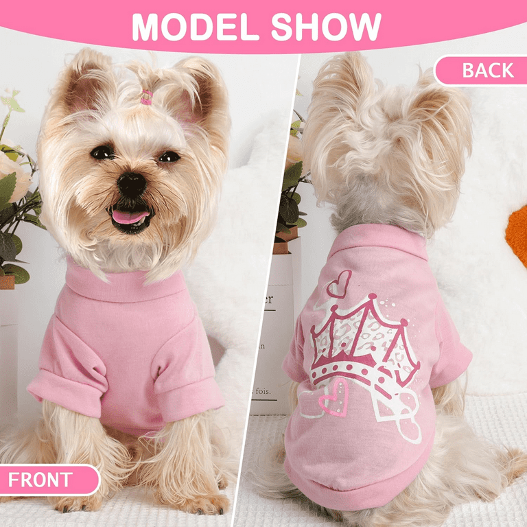 Female yorkie clothes online