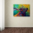 thumbnail image 3 of Trademark Fine Art 'Echo Elk' Canvas Art by Marion Rose, 3 of 3