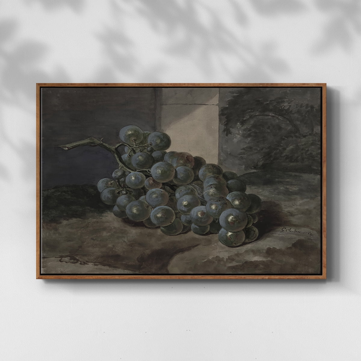 Vintage Botanical Print-XLIII By Wexford Home Framed in Walnut Wood Gallery Wrapped Canvas 17 in. x 25 in.