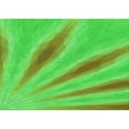 thumbnail image 1 of Ahgly Company Machine Washable Indoor Rectangle Transitional Neon Green Area Rugs, 2' x 3', 1 of 7