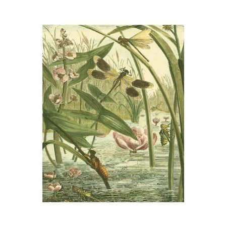 Pointillism Dragonfly Print - Dragonfly Gathering II Print Wall Art